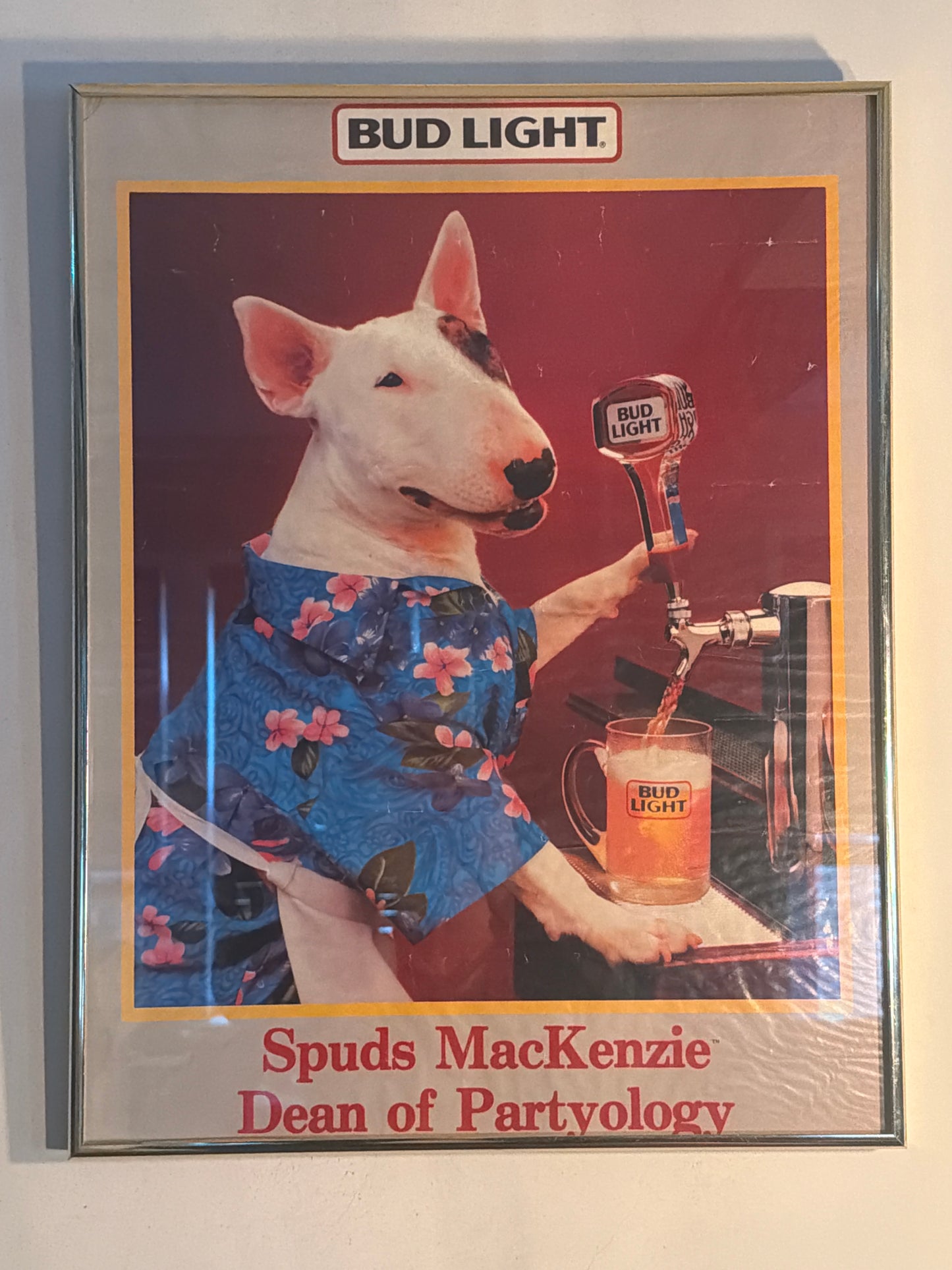 Spuds MacKenzie “Dean of Partyology” Framed Poster