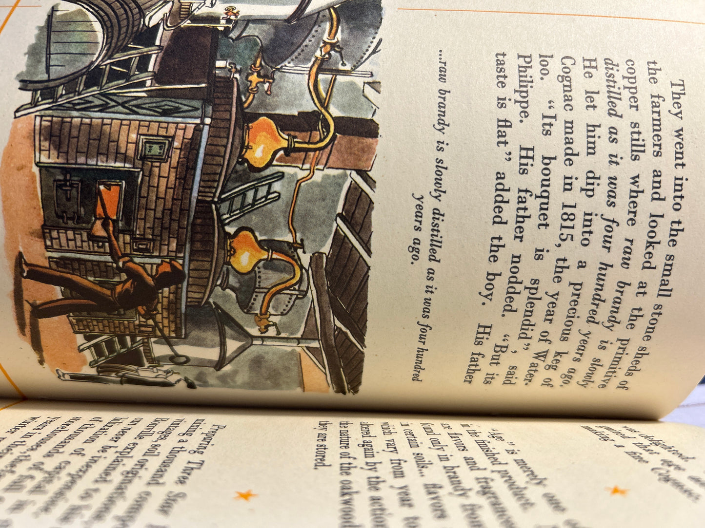 The Gift of Taste Book