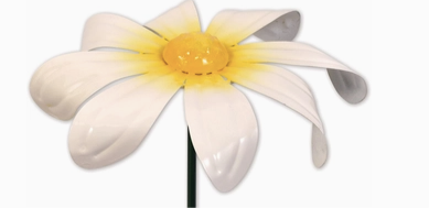 Small White Daisy Spinner