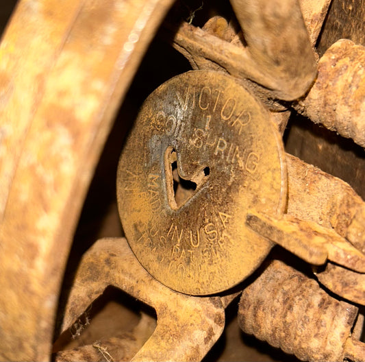 Victor #1 Coil Spring Animal Trap