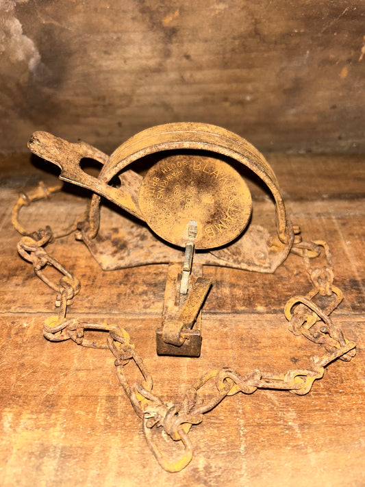 Blake and Lamb #1 Animal Trap