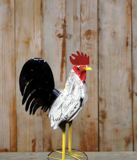 24” White And Black Rooster