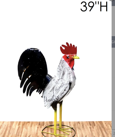 White & Black Rooster