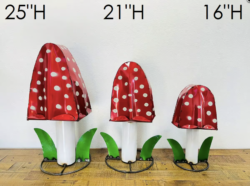 Polka dot mushroom