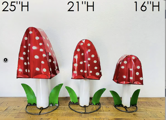 Polka Dot Mushroom SM.