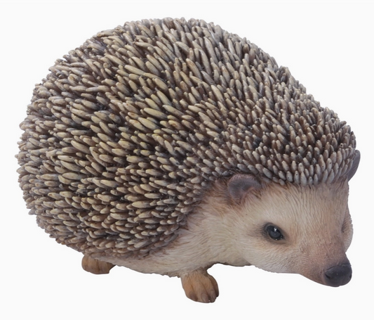 Sitting Hedgehog