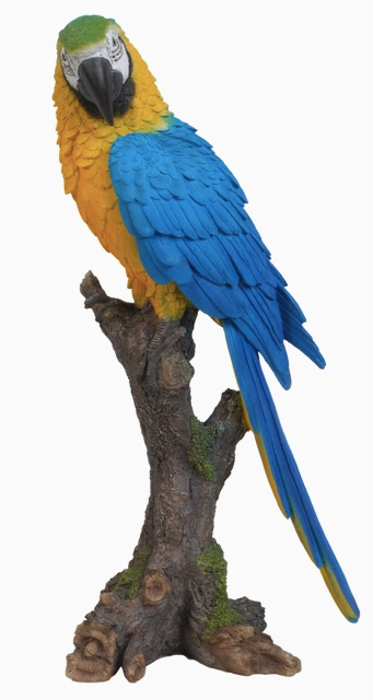 Macaw