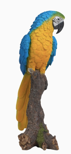 Macaw