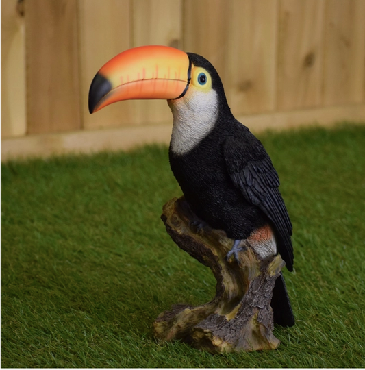 Toucan