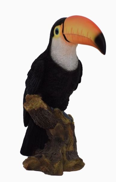 Toucan