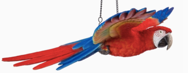 Scarlet Flying Parrot