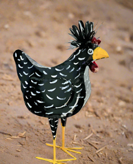 Large Padoava Chicken