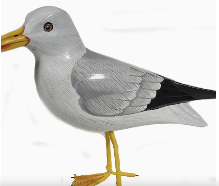 Seagull