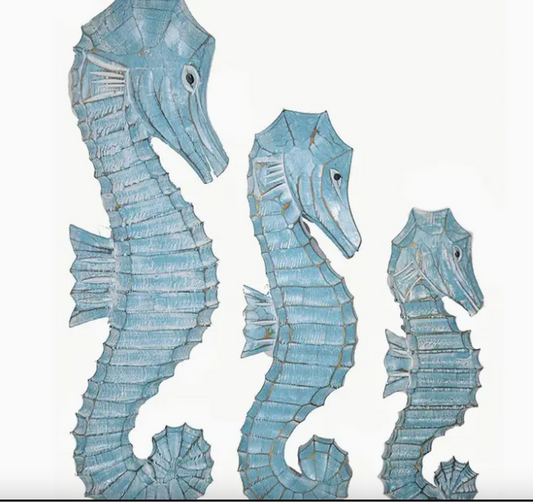 Large Seahorse