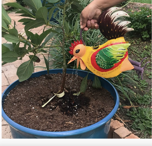 Rooster Watering Can
