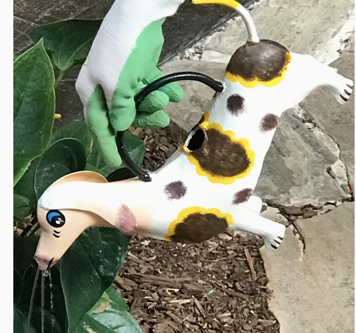 Dachshund Watering Can