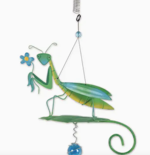 Praying Mantis Bouncy