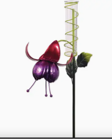 Fuschia Rain Gauge