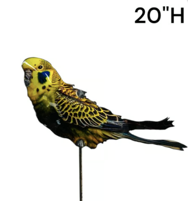 Parakeet Stake