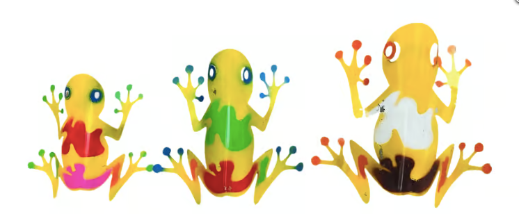Colorful Frog LG