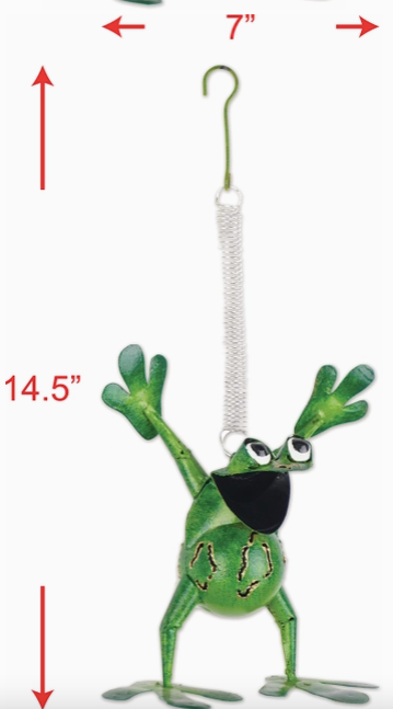 Sammy Frog Bouncy