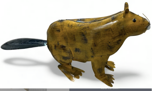 Beaver