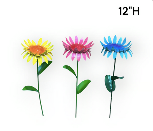 Daisy Flower