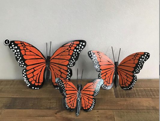 Sm. Monarch Butterfly