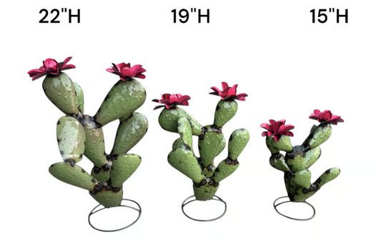 Large Olive Nopal Cactus
