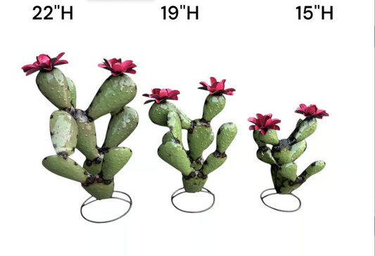 Small Olive Nopal Cactus