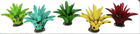 Agave 10"