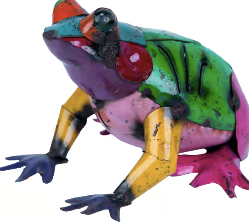 Colorful Frog