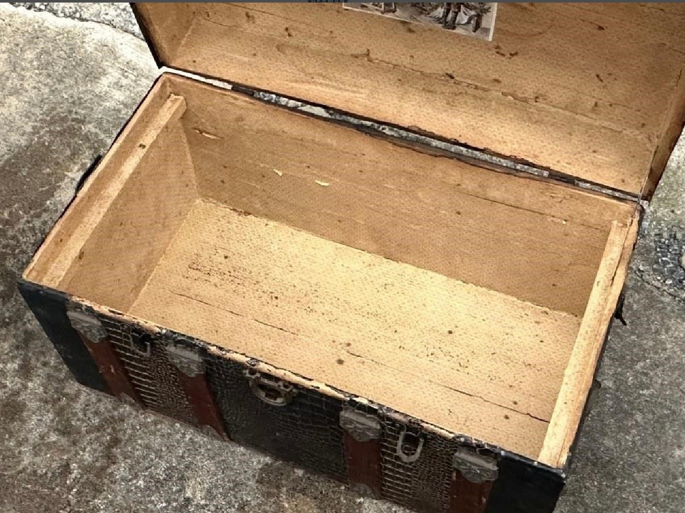 Camel Back Trunk