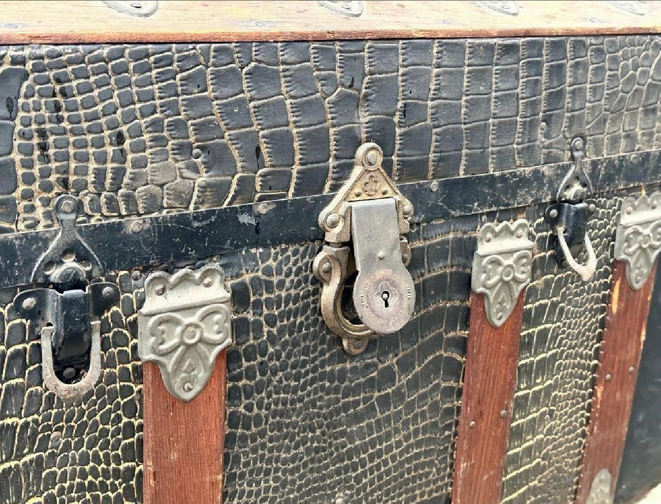Camel Back Trunk