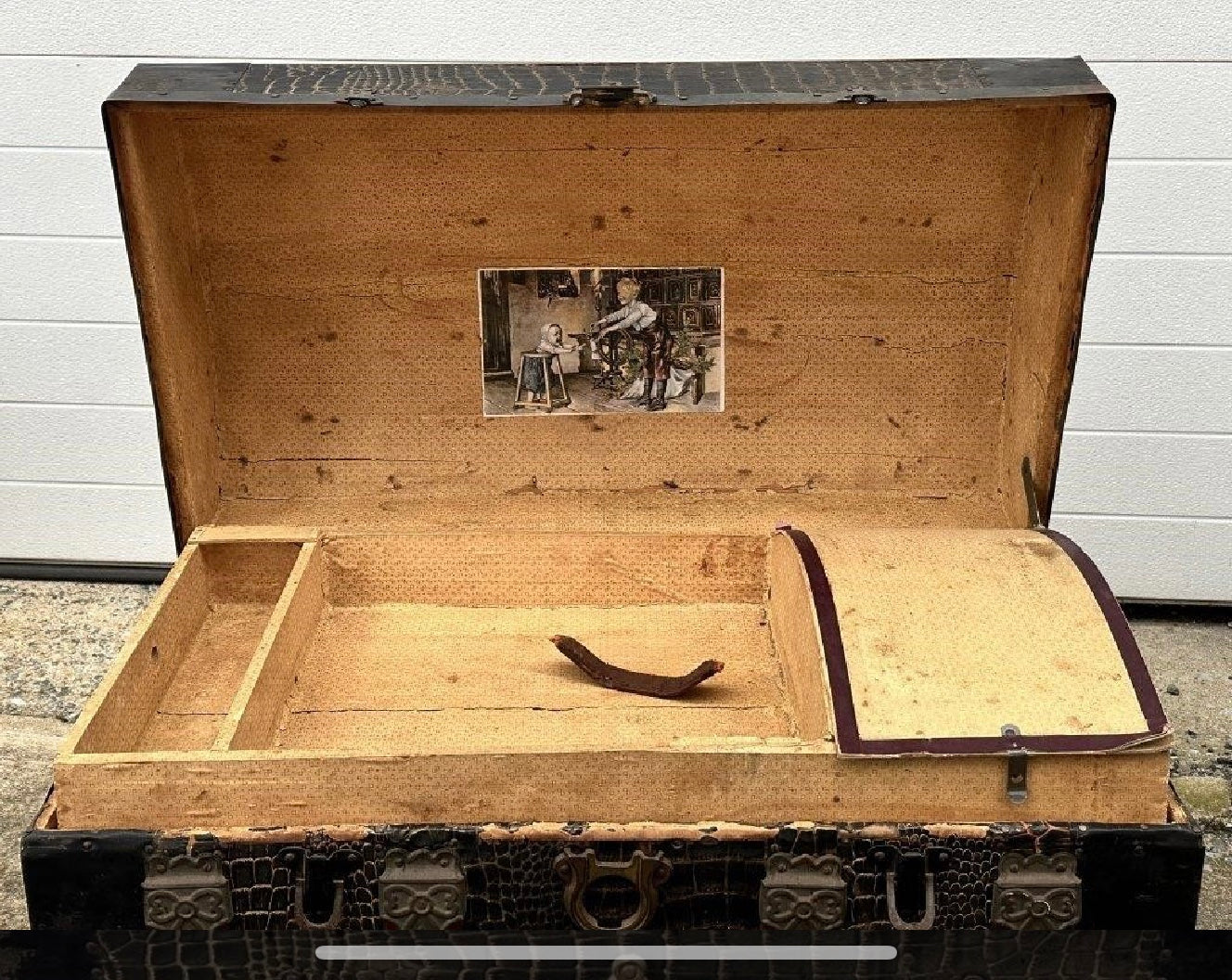 Camel Back Trunk