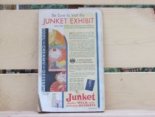 1933 Official Guide Book Of The Fair