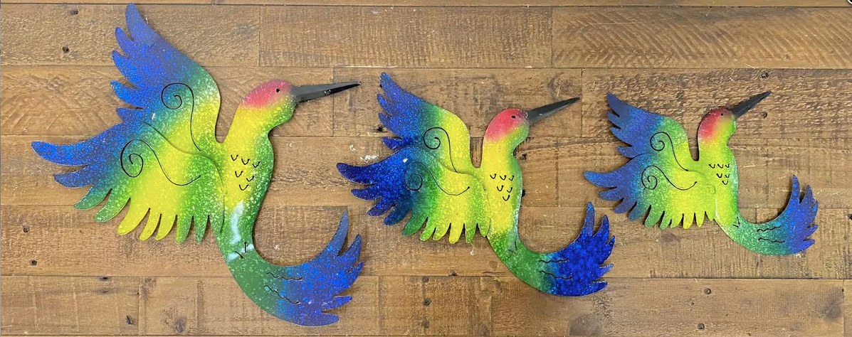 Multicolor Humming Bird