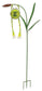 Froggy Solar Garden Stake 48"