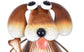 Toby Tabletop