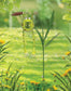 Froggy Solar Garden Stake 48"
