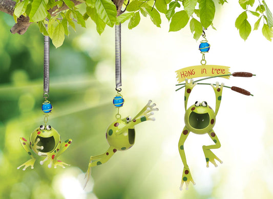 Froggy Bouncy