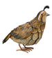 Quail Female Decor