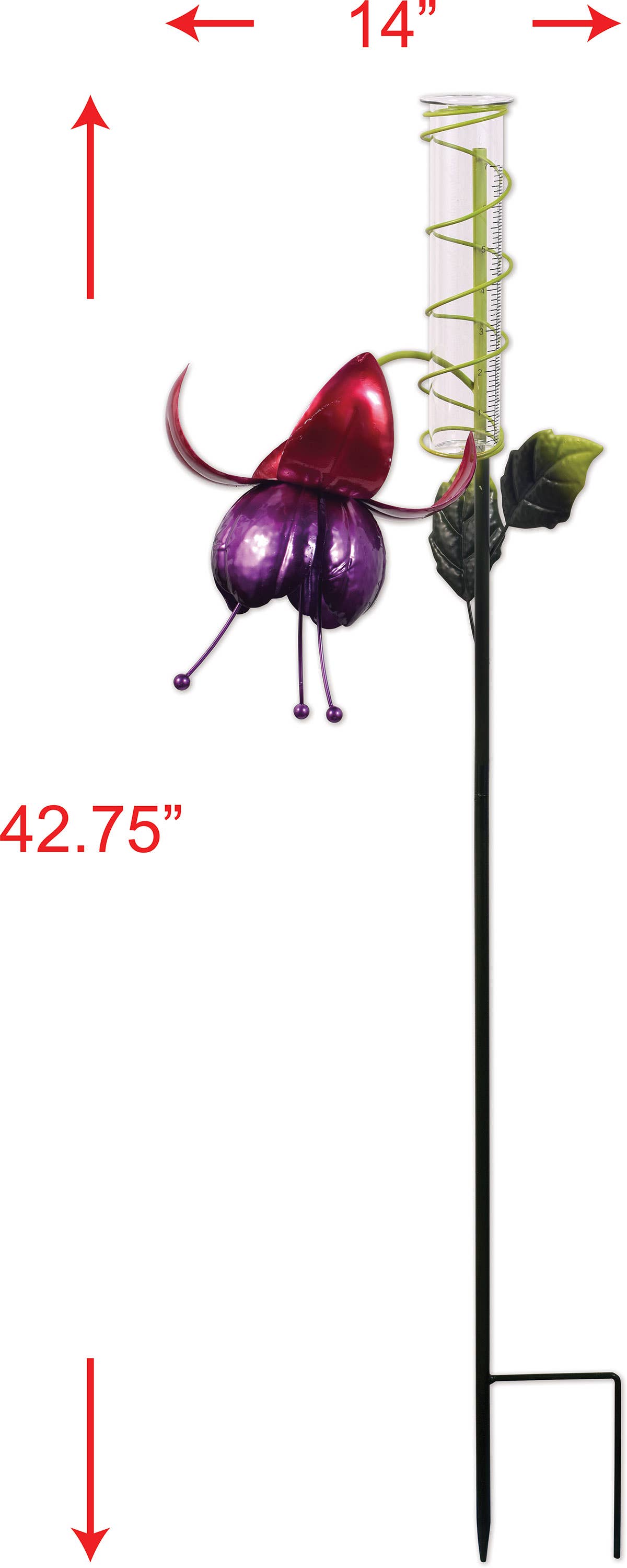 Fuschia Rain Gauge