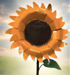 Oversize Sunflower