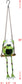 Swinging Froggy Solar Hanging Buddy 36"