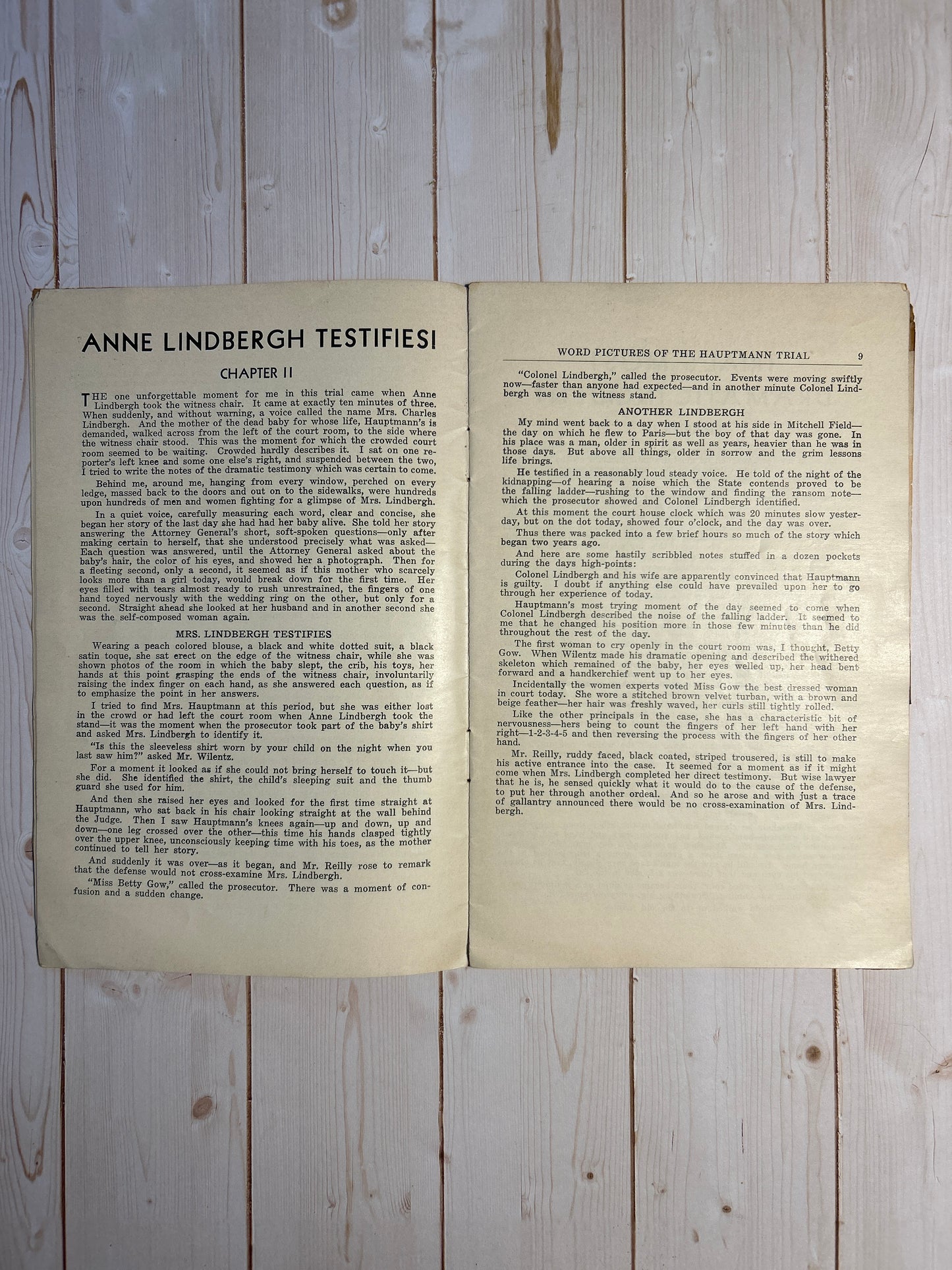 Word Pictures of the Hauptmann Trial Book-Lindbergh Baby Kidnapping