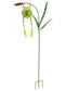 Froggy Solar Garden Stake 48"