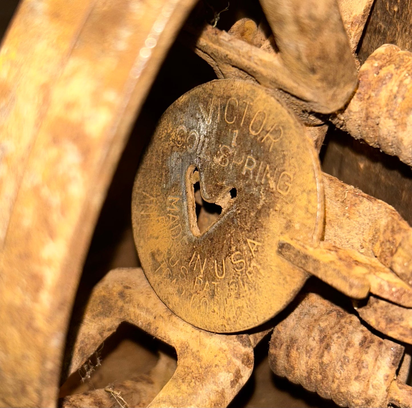 Victor #1 Coil Spring Animal Trap