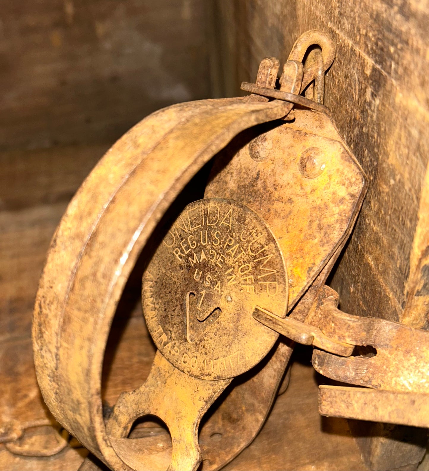 Oneida Jump #1 Animal Trap