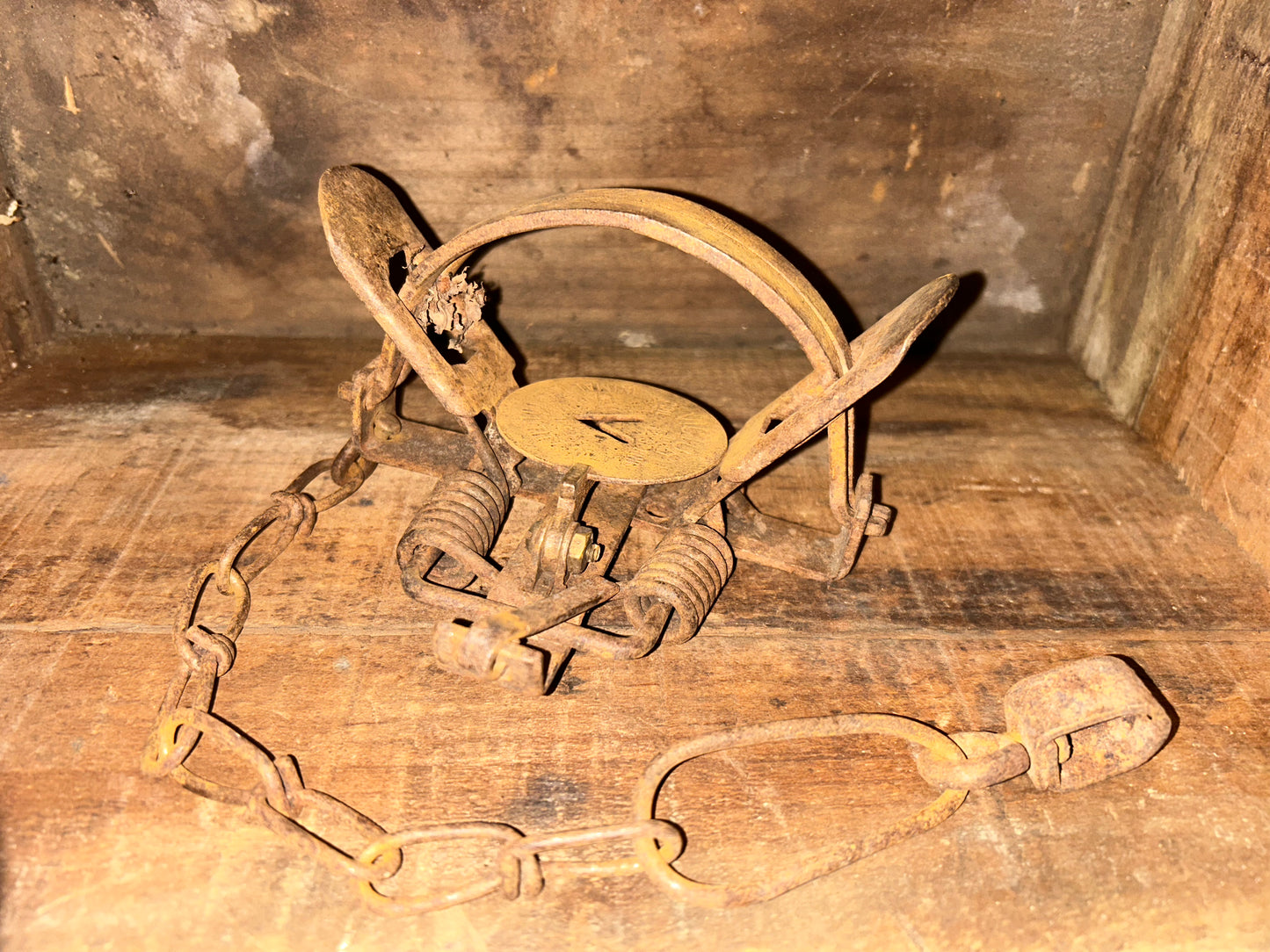 Victor #1-1/2 Coil Spring Animal Trap